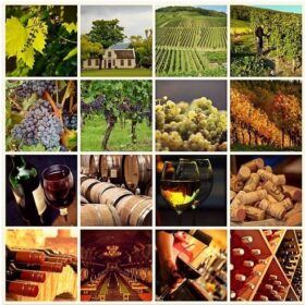 Spanish wine