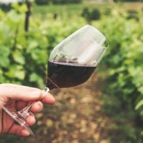 how long does wine last