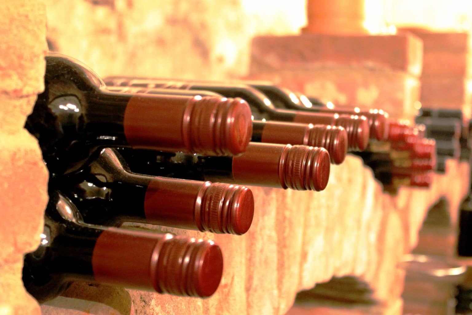 Learn the basics of storing wine the right way
